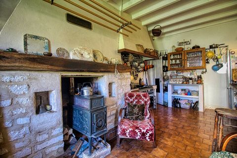 photo no. 11