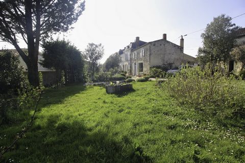 photo no. 11