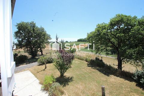 photo no. 5