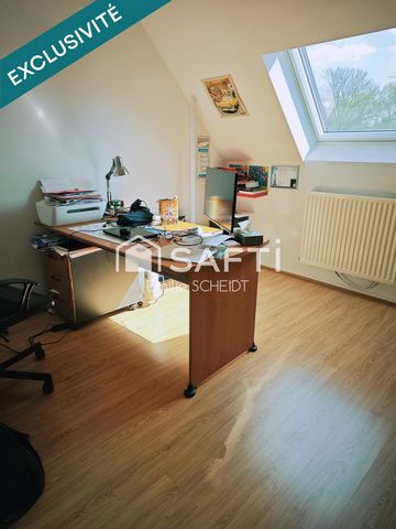 photo no. 7