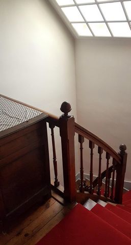 photo no. 8