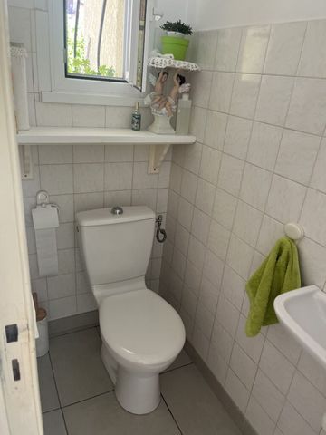 photo no. 12