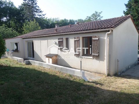 photo no. 5