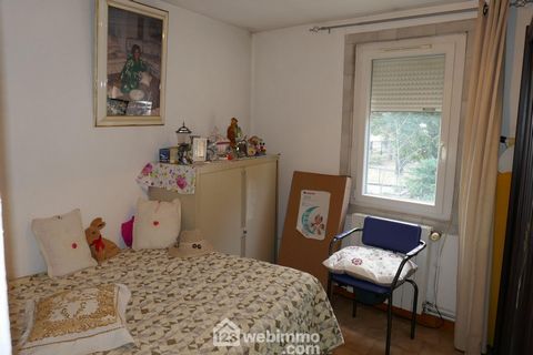 photo no. 8