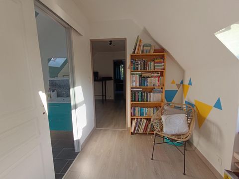 photo no. 10