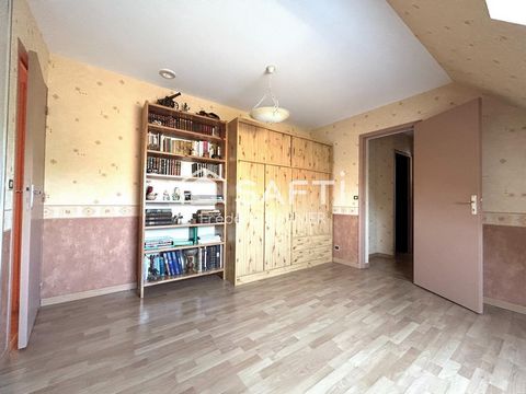 photo no. 11