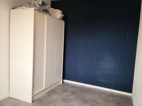 photo no. 11