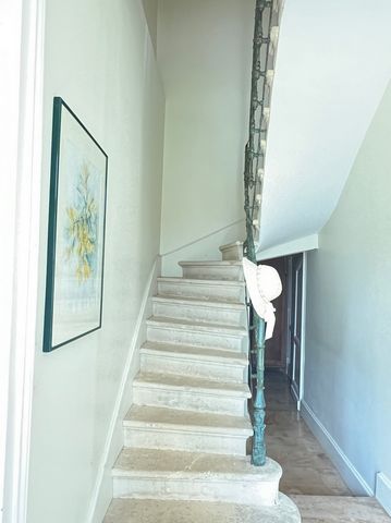 photo no. 11