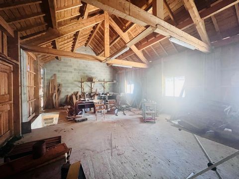 photo no. 13