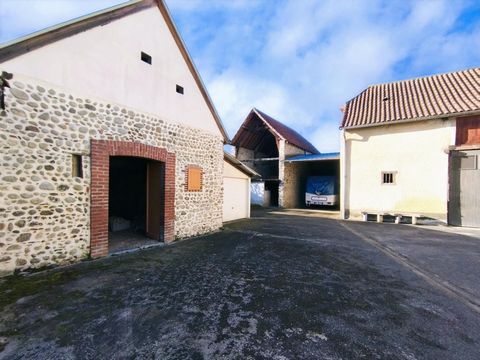 photo no. 15