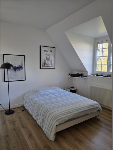 photo no. 11