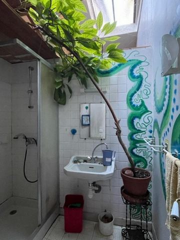 photo no. 13