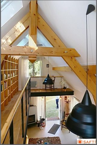 photo no. 15