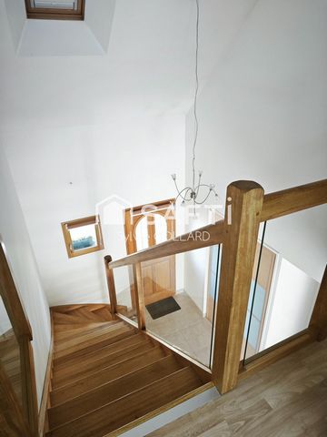 photo no. 5