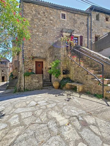 photo no. 13