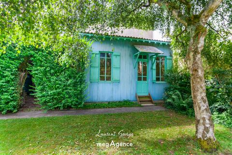 photo no. 14