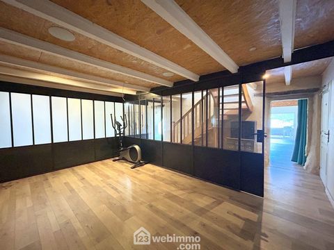 photo no. 12
