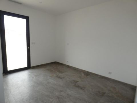 photo no. 6