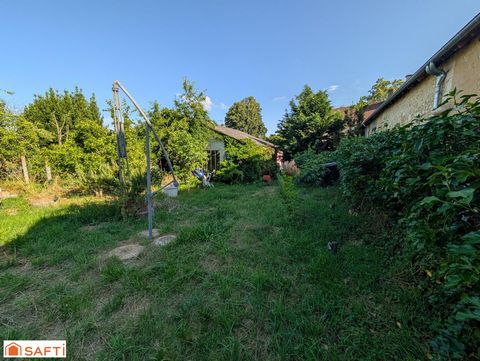photo no. 11