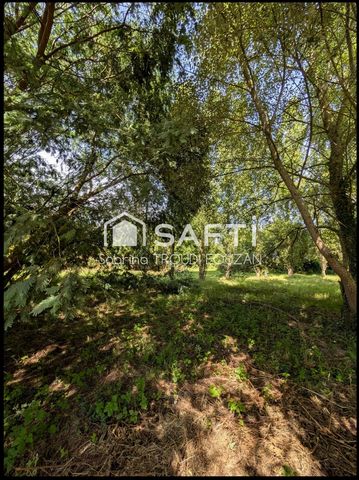 photo no. 13