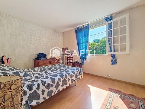 photo no. 4