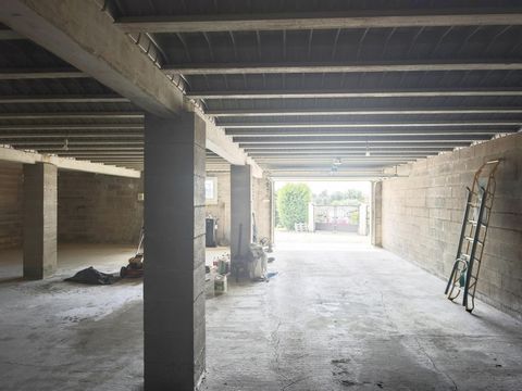 photo no. 9