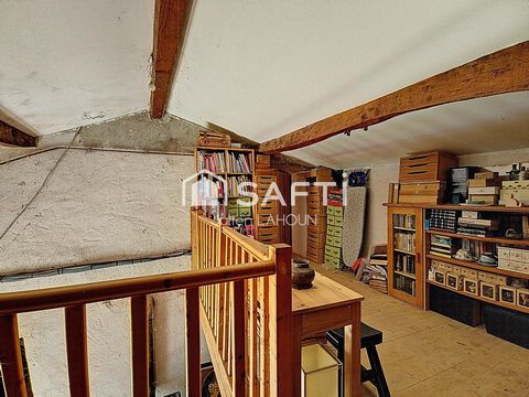 photo no. 8