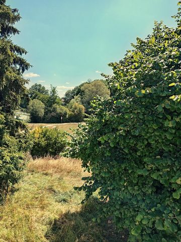 photo no. 8