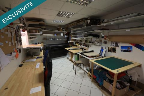 photo no. 6