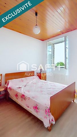 photo no. 6