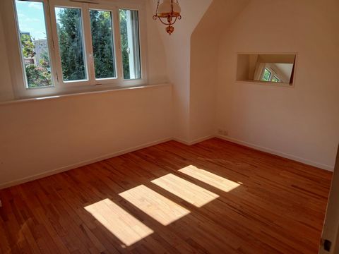 photo no. 8