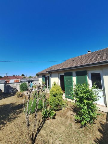 photo no. 8