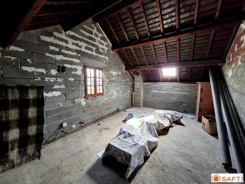 photo no. 12