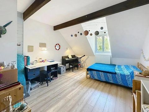 photo no. 8