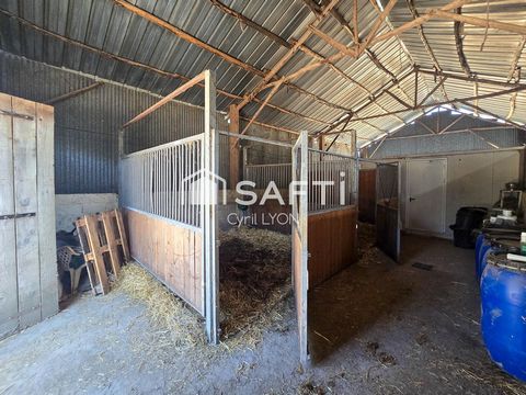 photo no. 12