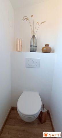 photo no. 12