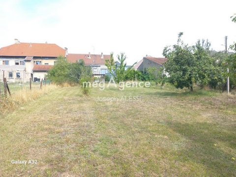 photo no. 8
