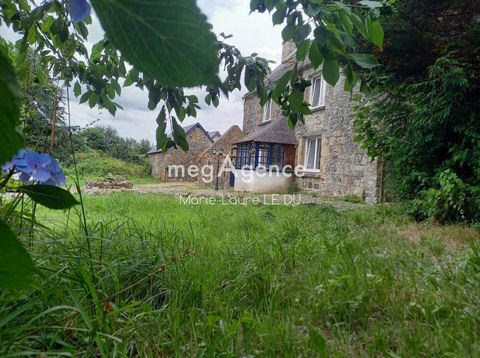 photo no. 10