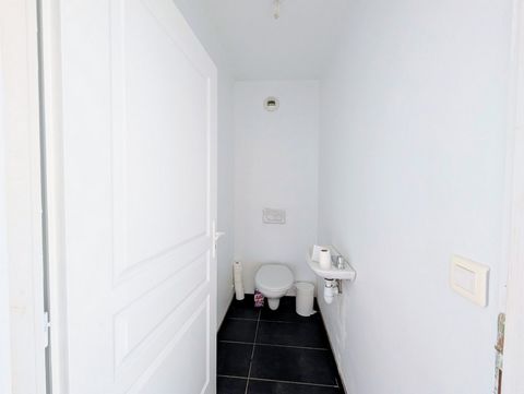 photo no. 8