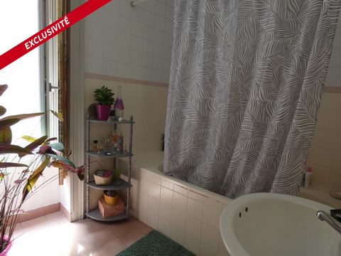 photo no. 6