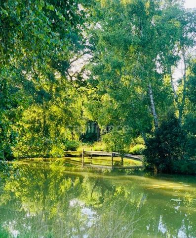 Échappée Nature : Votre Havre de Paix au Cur de la Nature
