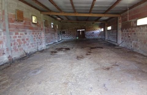 photo no. 12