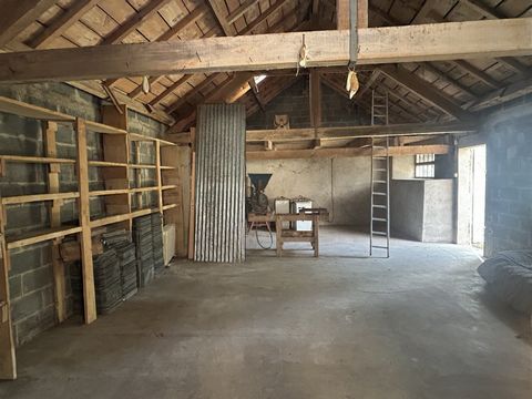 photo no. 18