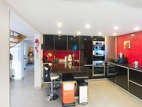 photo no. 1