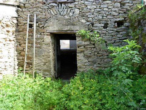 photo no. 10