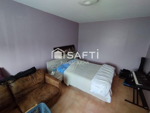photo no. 6
