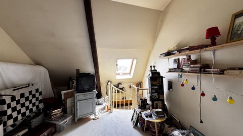 photo no. 11