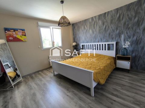photo no. 11