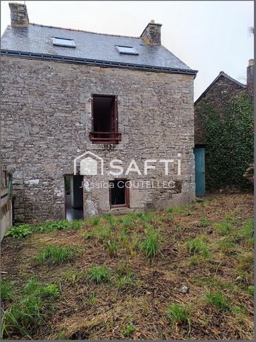 photo no. 4