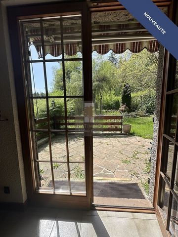 photo no. 15